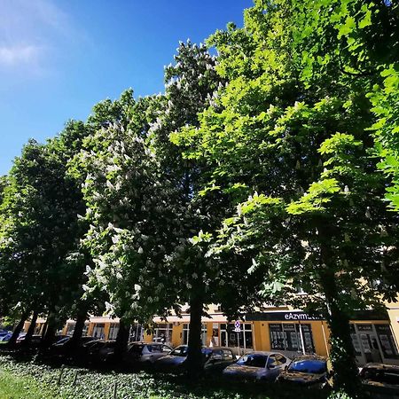 Corazziego Plac Bankowy Apartment 华沙 外观 照片
