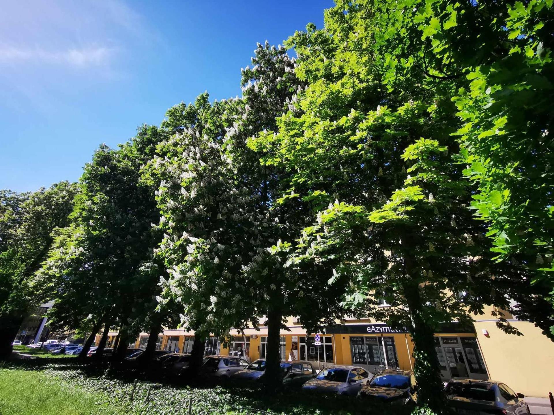 Corazziego Plac Bankowy Apartment 华沙 外观 照片